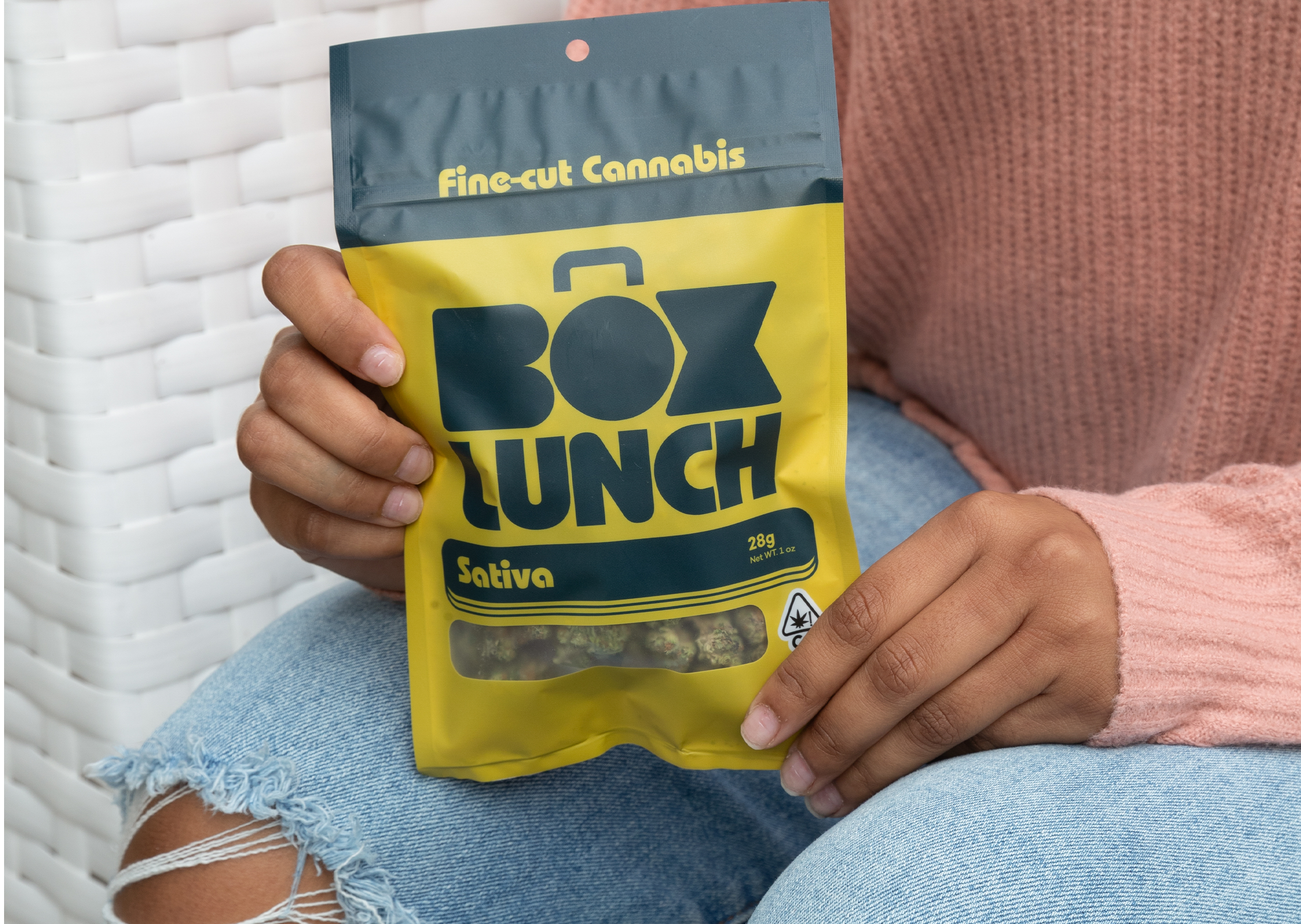 Box Lunch packaging being held to camera