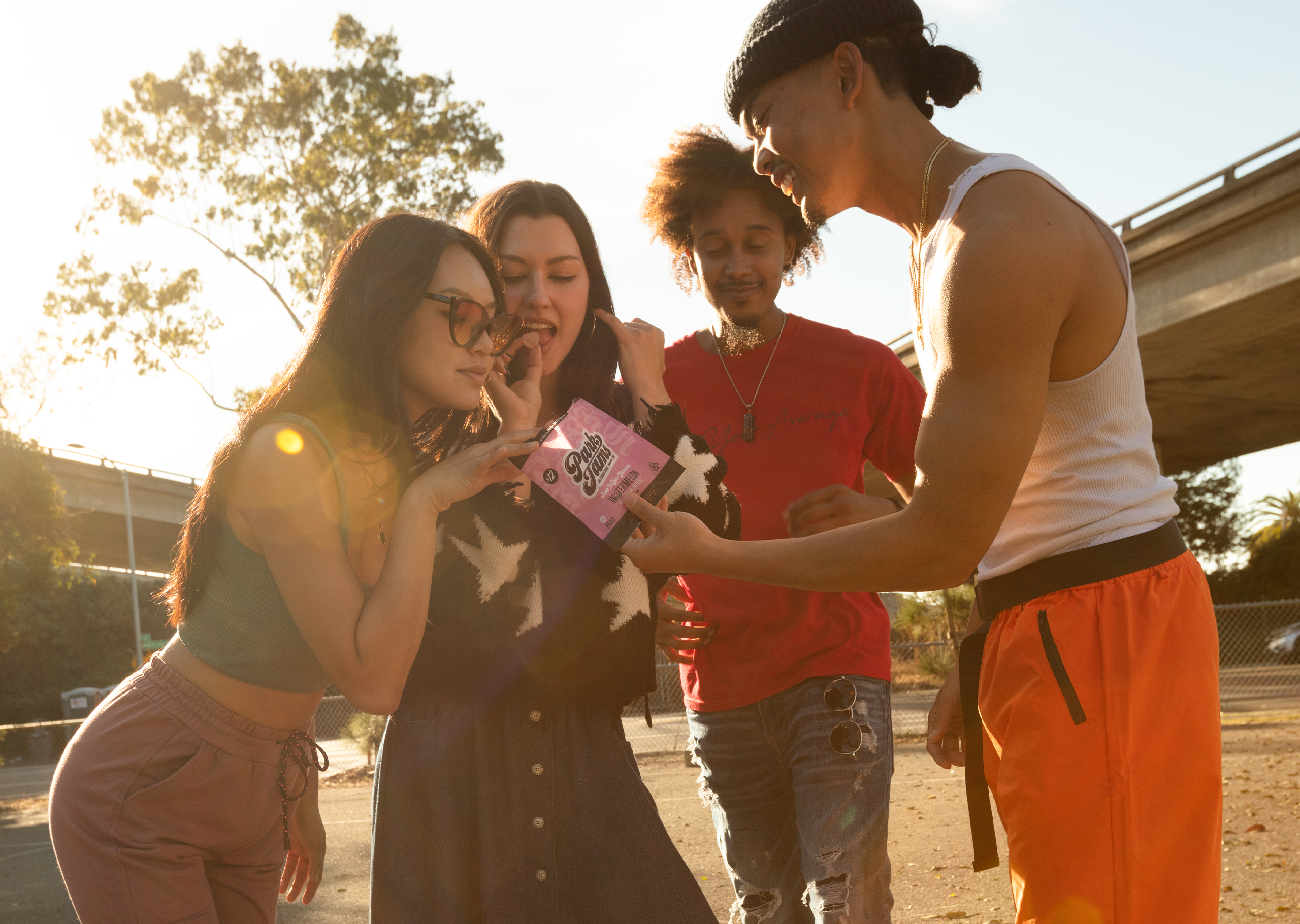 People enjoying Park Jams on a sunny day